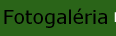 Fotogaléria