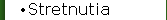 Stretnutia